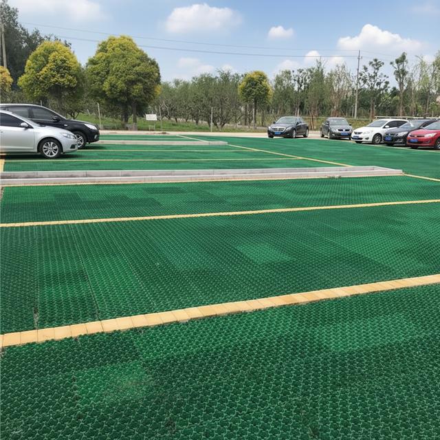 Grass Paver
